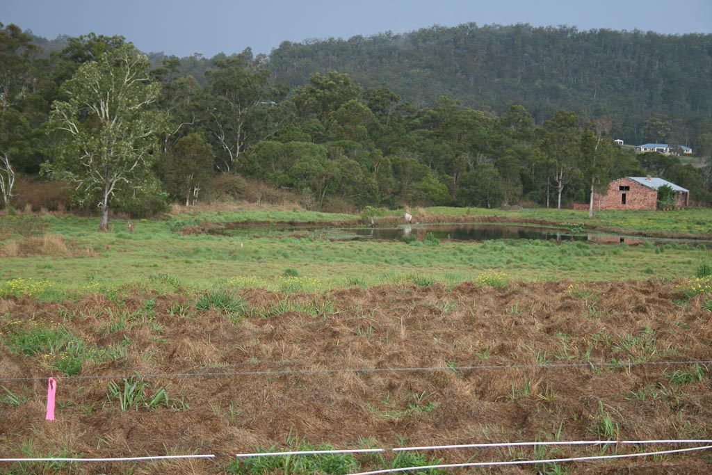 2007-09-22 16-17-49.jpg