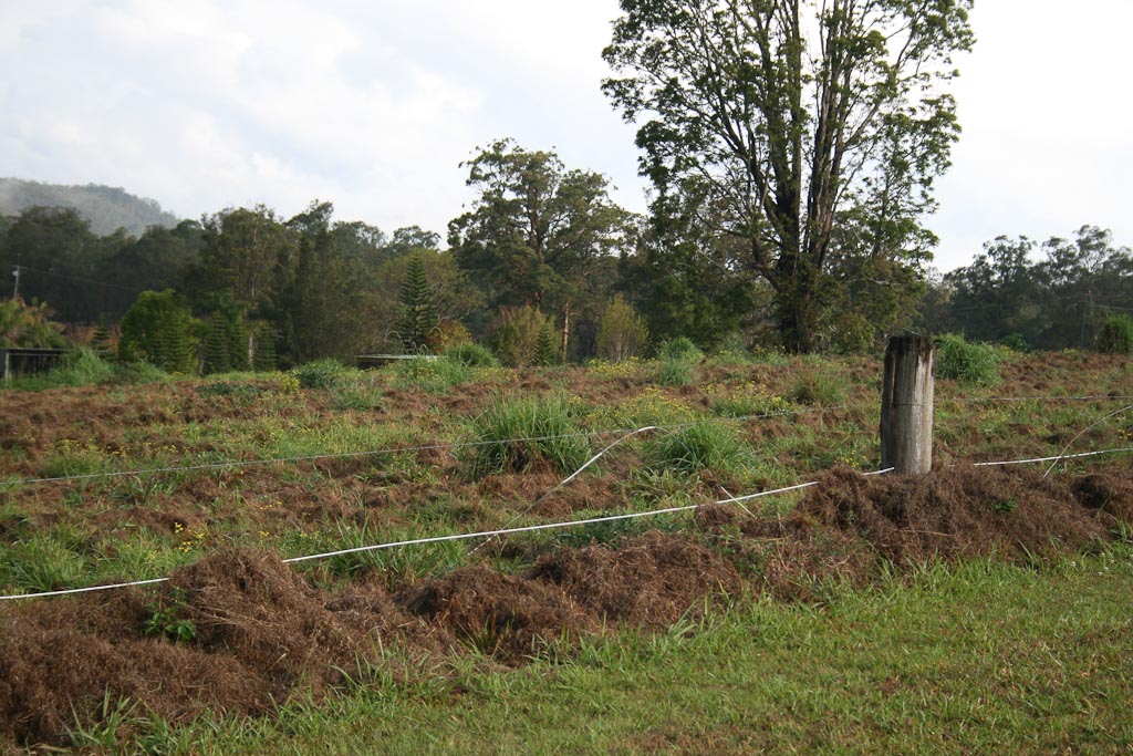 2007-09-22 16-17-58.jpg